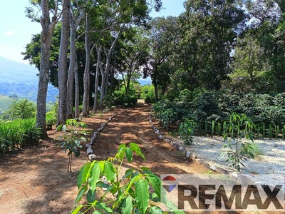 /international/sv/canton-las-palmeras-chancuyo-ahuachapan-ahuachapan-ahuachapan-ahuachapan-ahuachapan-ahuachapan-310107191981/
