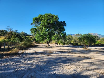 /international/sv/lotificacion-san-jose-arrazola-tonacatepeque-san-salvador-tonacatepeque-san-salvador-310106140422/