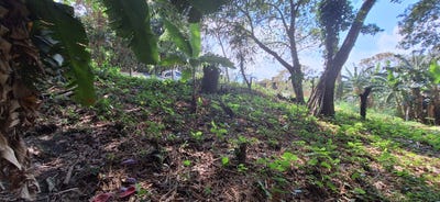/international/sv/poligono-b-lote-14-lotificacion-quintas-de-san-emilio-agua-helada-san-salvador-agua-helada-san-salvador-310106490677/