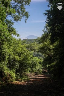 /international/sv/lote-5-poligono-1-finca-san-antonio-concepcion-batres-usulutan-concepcion-batres-usulutan-310108290985/