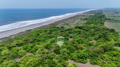 /international/sv/hacienda-san-juan-del-gozo-jurisdiccion-de-jiquilisco-usulutan-oeste-usulutan-usulutan-usulutan-usulutan-310108315947/