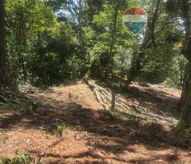 /international/sv/canton-el-progreso-a-la-par-del-parque-boqueron-santa-tecla-la-libertad-santa-tecla-la-libertad-department-310108007866/