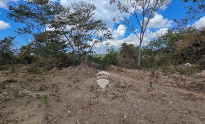 /international/sv/finca-san-bartolo-porcion-3-canton-nazareth-s-n-huizucar-la-libertad-huizucar-la-libertad-department-310106223380/