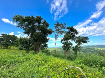 /international/sv/caserio-miraflores-canton-el-espino-lotes-450-451-san-pedro-perulapan-cuscatlan-san-pedro-perulapan-cuscatlan-department-310101135335/?lang=en