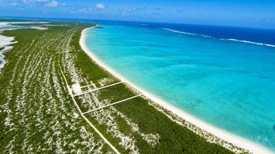 /international/tc/wild-cow-run-middle-caicos-providenciales-and-west-caicos-310105100847/