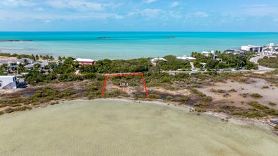 /international/tc/turtle-tail-drive-providenciales-providenciales-and-west-caicos-310108940490/