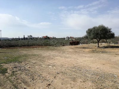 /international/tn/sousse-sousse-310107219238/
