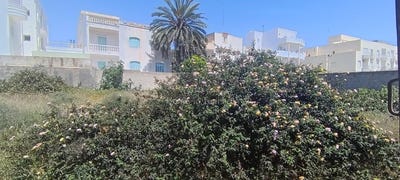 /international/tn/sousse-sousse-310107922491/