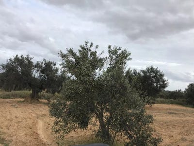 /international/tn/cite-ouvriere-bizerte-310107070967/