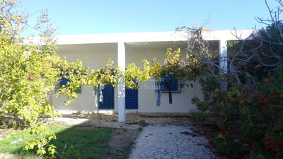 /international/tn/gamart-tunis-310107071051/