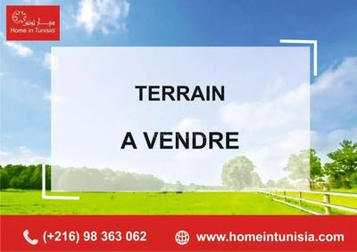 /international/tn/bou-merdes-mahdia-310107218414/