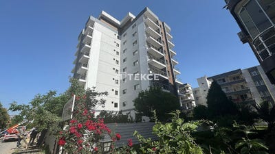 /international/tr/bayraklı-osmangazi-izmir-izmir-310099498139/