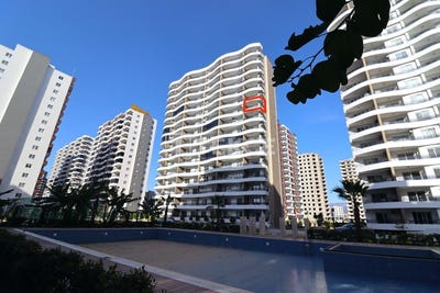 /international/tr/erdemli-mersin-310105948501/