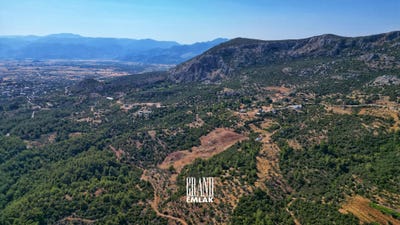 /international/tr/eksili-belediyesi-eksili-belediyesi-antalya-310104004052/