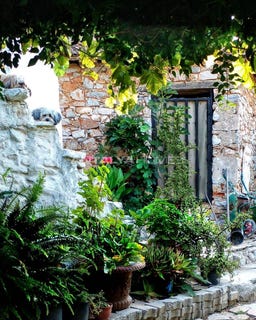 /international/tr/milas-candır-mugla-mugla-310108778449/