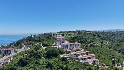 /international/tr/araklı-merkez-trabzon-trabzon-120093126036/