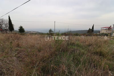 /international/tr/erdemli-ilemin-mersin-mersin-310098145571/