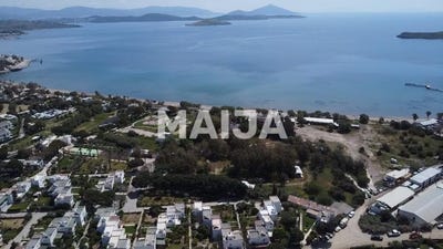 /international/tr/yahsi-bodrum-mugla-310109172314/