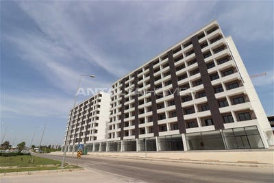 /international/tr/erdemli-tomuk-mersin-mersin-310108040548/