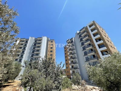 /international/tr/erdemli-lemas-mersin-mersin-310100791283/