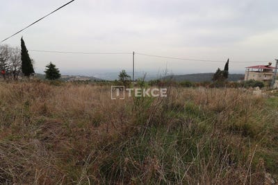/international/tr/erdemli-mersin-310104531610/
