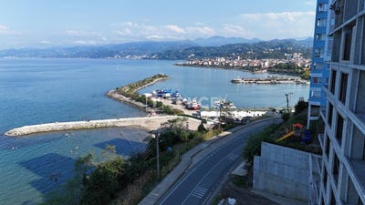 /international/tr/araklı-hurriyet-trabzon-trabzon-120089653559/