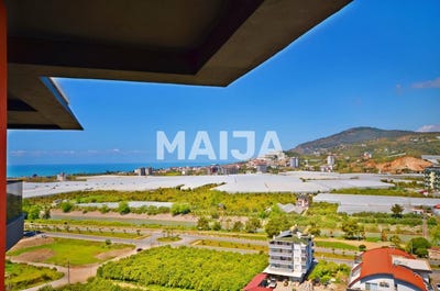 /international/tr/demirtas-alanya-antalya-310108836470/