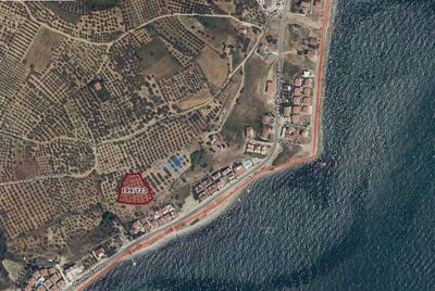 /international/tr/tekirdag-tekirdag-310108599746/