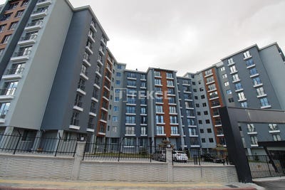 /international/tr/altnda-ankara-310104529306/