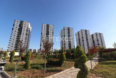 /international/tr/tarsus-kavaklı-mersin-mersin-120091255940/