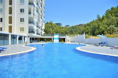 /international/tr/avsallar-avsallar-antalya-310108155329/