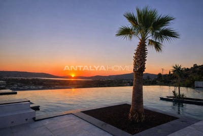 /international/tr/milas-dorttepe-mugla-mugla-310105818235/