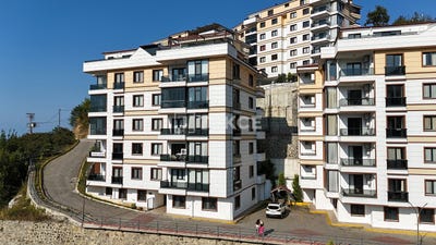 /international/tr/arakl-trabzon-310108974474/
