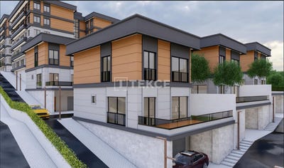 /international/tr/baakehir-istanbul-310108249704/