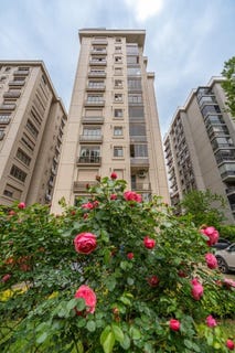 /international/tr/suadiye-istanbul-istanbul-310108519789/