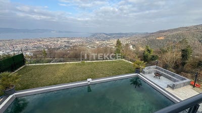 /international/tr/sapanca-guldibi-sakarya-sakarya-310106517721/