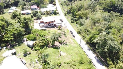 /international/tt/lp-226-toco-main-road-matura-matura-saint-andrew-matura-saint-andrew-120087867510/