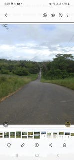 /international/tt/mantocool-1st-branch-road-and-ants-nest-road-tableland-tableland-victoria-tableland-victoria-310108188581/