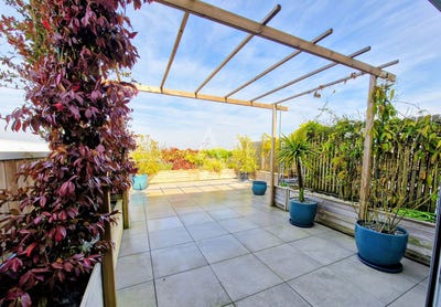 /international/fr/clisson-pays-de-la-loire-310106792519/