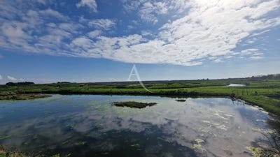 /international/fr/talmont-saint-hilaire-pays-de-la-loire-310107902087/