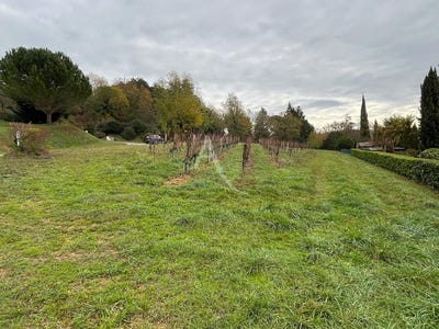 /international/fr/prayssac-midi-pyrenees-310106796524/
