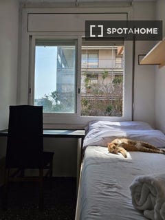 /international/es/barcelona-catalonia-310108510884/