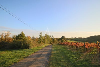 /international/fr/prayssac-midi-pyrenees-310106795551/