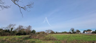 /international/fr/le-fenouiller-pays-de-la-loire-310106792534/