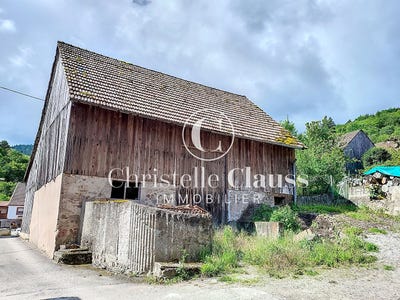 /international/fr/griesbach-au-val-alsace-310107901662/