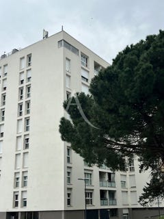 /international/fr/colomiers-midi-pyrenees-310106792940/