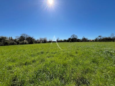 /international/fr/petosse-pays-de-la-loire-310107235571/