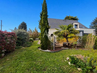 /international/fr/vineuil-centre-val-de-loire-310107903979/