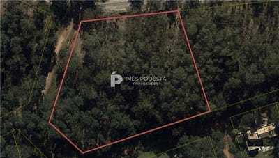 /international/uy/pinares-maldonado-maldonado-department-310096671694/
