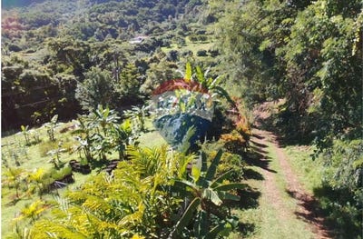 /international/vc/penniston-st-vincent-penniston-st-vincent-penniston-st-vincent-310097682704/